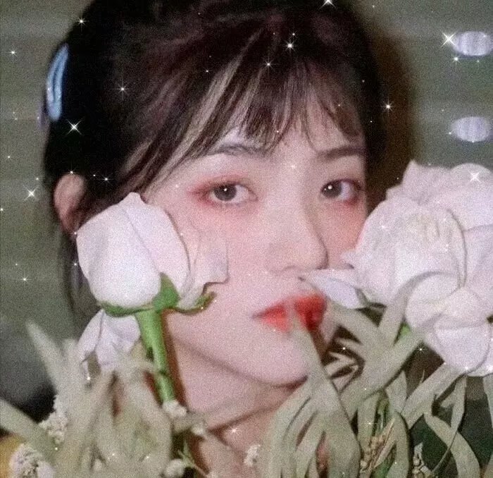 稻浪上的梦想家